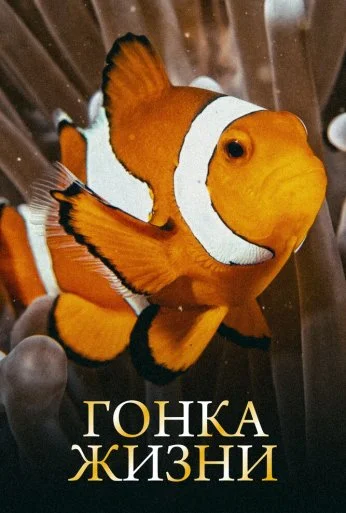 Гонка жизни (2015) онлайн бесплатно